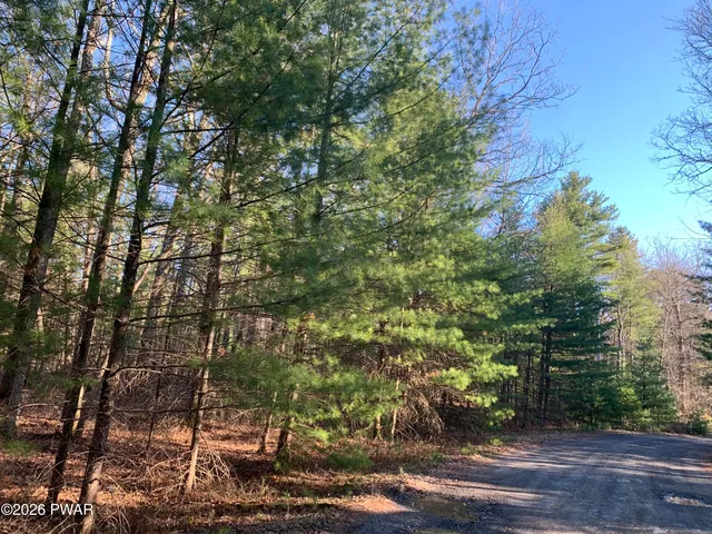 Center Rd, Dingmans Ferry, PA 18328
