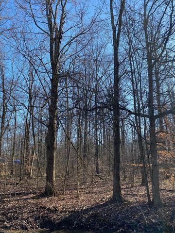 7326 State Route 19 #Unit 6 lot, Mount Gilead, OH 43338