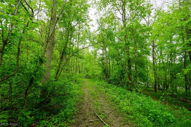 Ervin Ln, Stockport, OH 43787