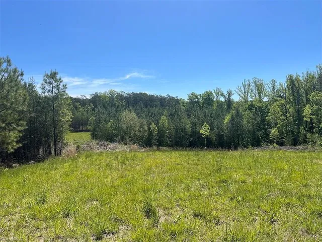 Palmer Rd, Westfield, NC 27053
