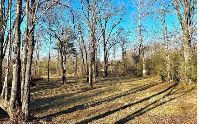 Lot 11 Willow Springs Rd, Young Harris, GA 30582
