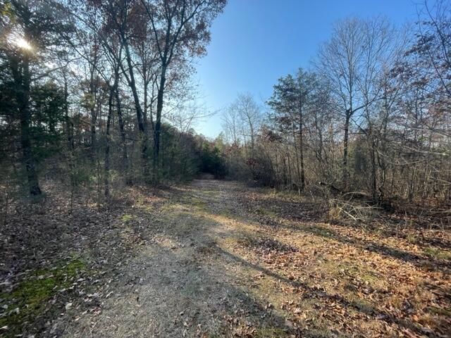 County Road 3568, Clarksville, AR 72830