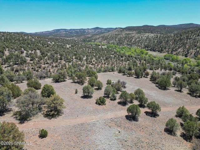 Highway 35, Mimbres, NM 88049
