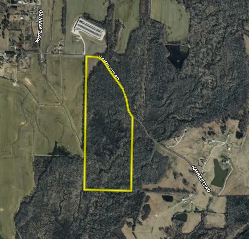 Hammlett Rd #WP001, Beech Bluff, TN 38313