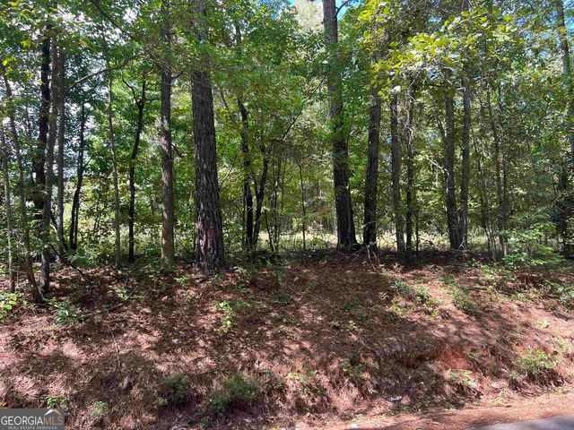 Lot 15 Weems Rd, Molena, GA 30258