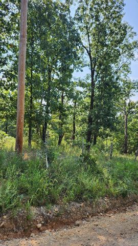 Gobblers Knob Rd, Steelville, MO 65565