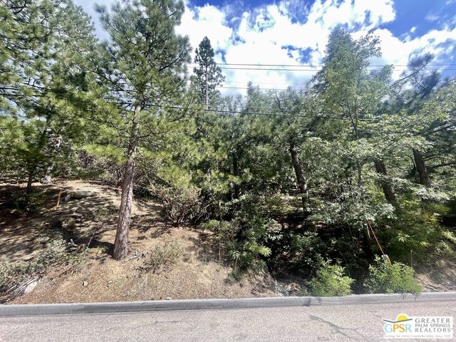 6011 Mountain Home Creek Rd, Angelus Oaks, CA 92305