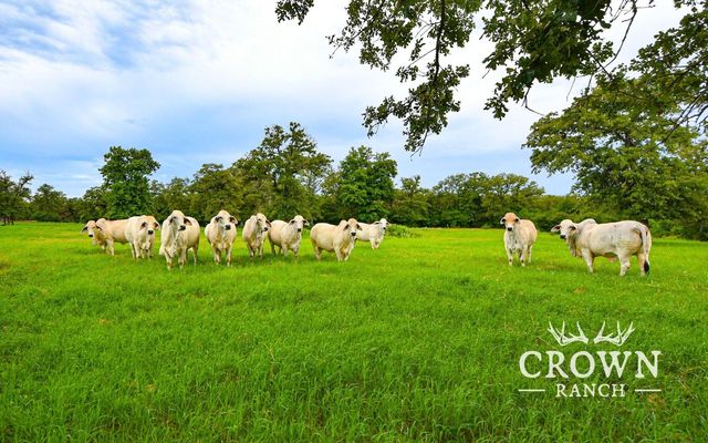 FM 908, Caldwell, TX 77836