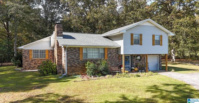 1465 Mineral Springs Rd, Pell City, AL 35125
