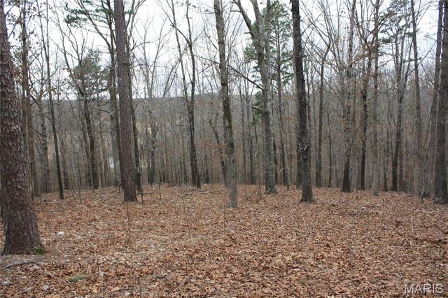 Carter Route Y #154, Fremont, MO 63941