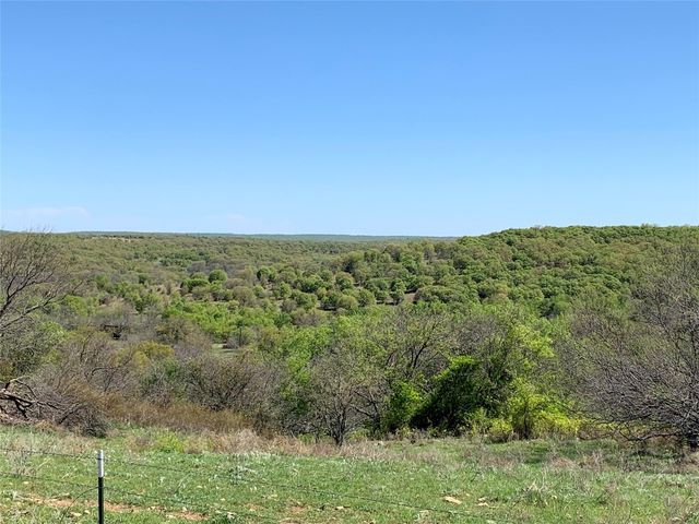 1602 County Line Rd, Chico, TX 76431