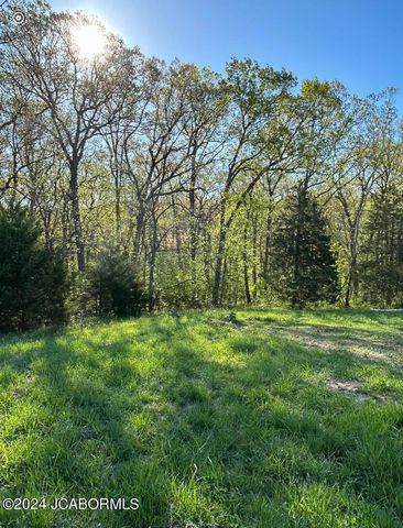 Lot 1 Birdie Hill Rd, Holts Summit, MO 65043