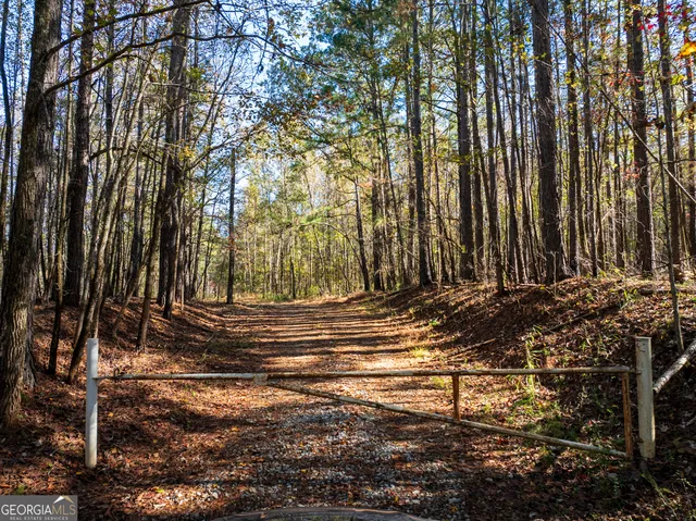 Saxon Mattox Rd, Carlton, GA 30627