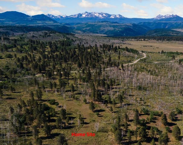 2991 Brown Ranch Rd #7, Placerville, CO 81430