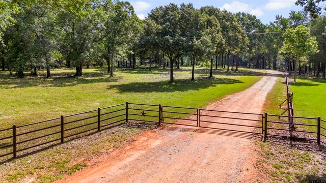 Vz County Road 4505, Ben Wheeler, TX 75754