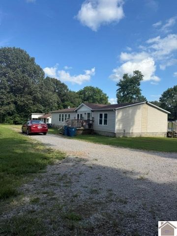 238 Kentucky #348, Symsonia, KY 42082