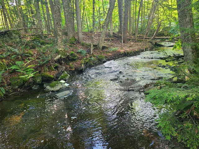 36 Ladd Road #36, Sebec, ME 04481