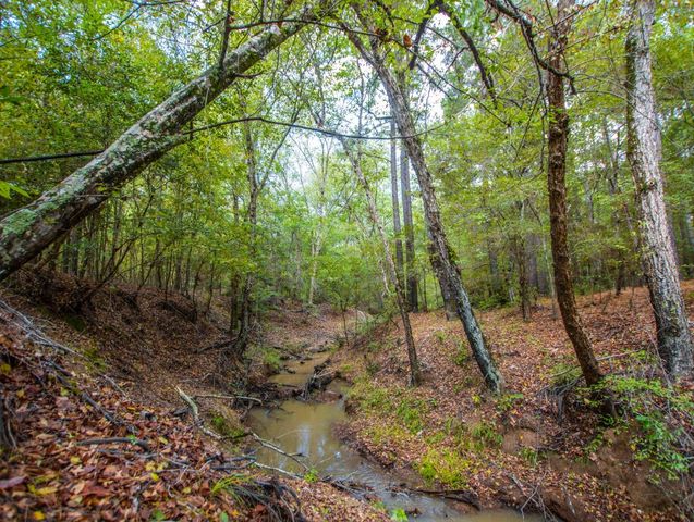 2175 Anderson County Rd   #353, Palestine, TX 75801