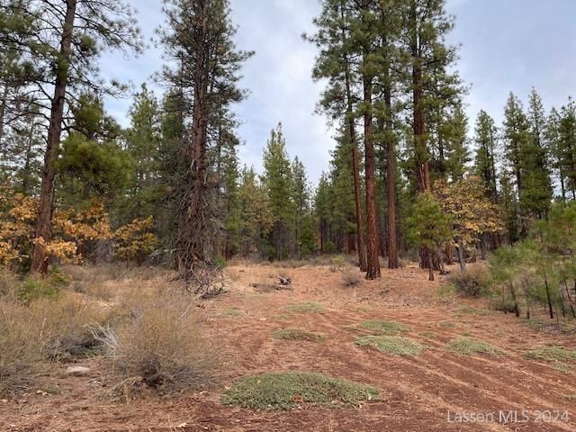 Peak Rd #0, Susanville, CA 96130
