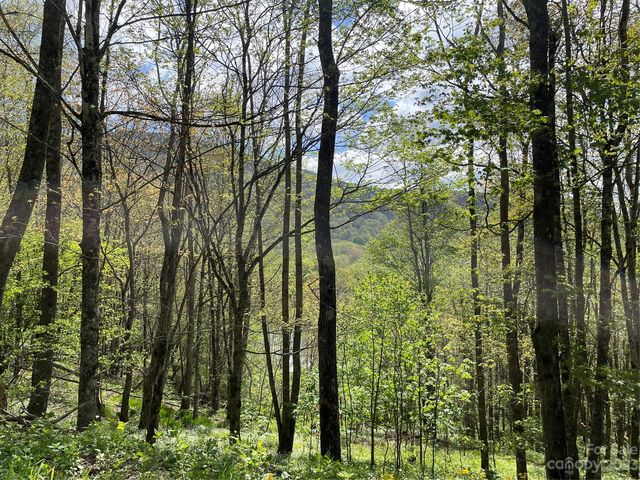 Peregrine Ln #D, Bakersville, NC 28705
