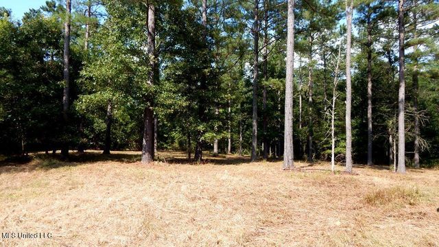 750 Bethel Rd, Coldwater, MS 38618