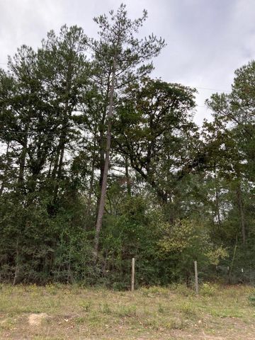 16596 Camelia Ln, Plantersville, TX 77363