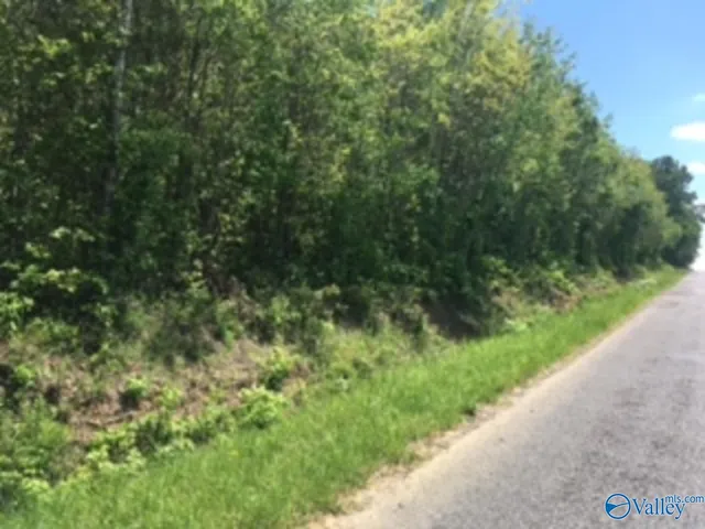 County Road 1453, Falkville, AL 35622