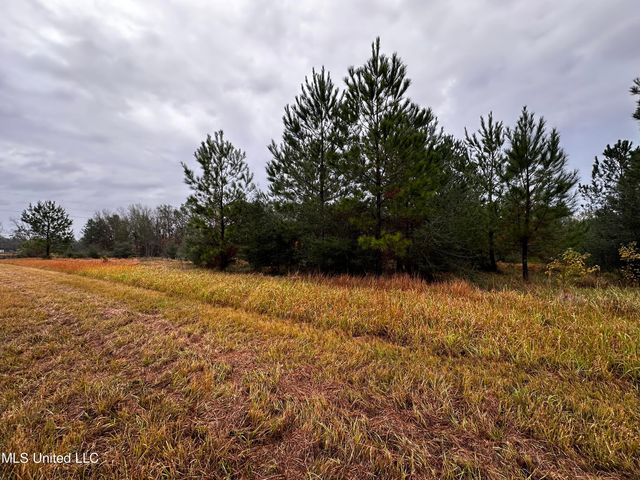 26800 Acres Hwy  #613, Lucedale, MS 39452