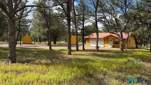 227 El Caso Rd, Quemado, NM 87829