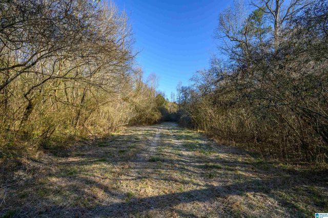 County Road 216, Hanceville, AL 35077