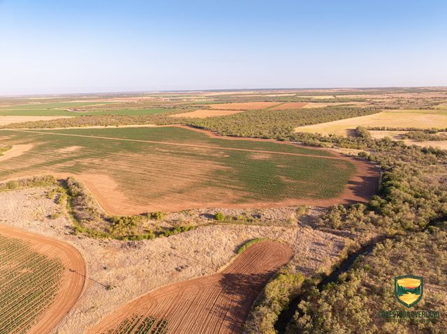 County Road 158, Sylvester, TX 79560