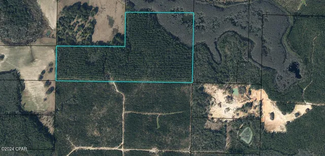 Douglas Ferry Rd, Vernon, FL 32462
