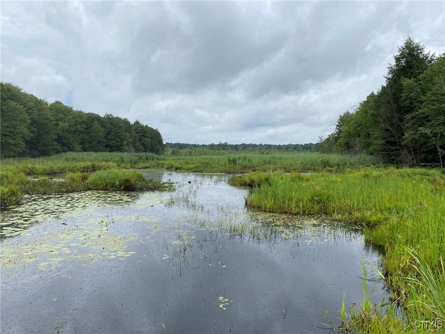 Fisherman S Bridge Rd #18, Williamstown, NY 13493