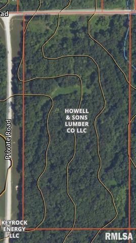 20283 Thorn Rd, Thompsonville, IL 62890