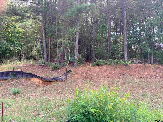 7545 Northlake Dr, Tyler, TX 75703