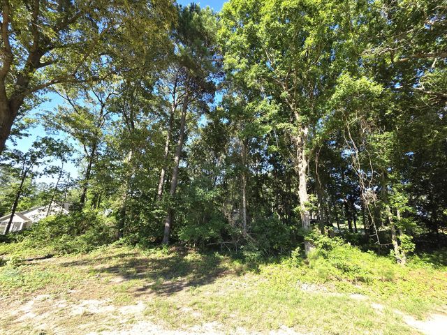 130 Green Ct, Santee, SC 29142