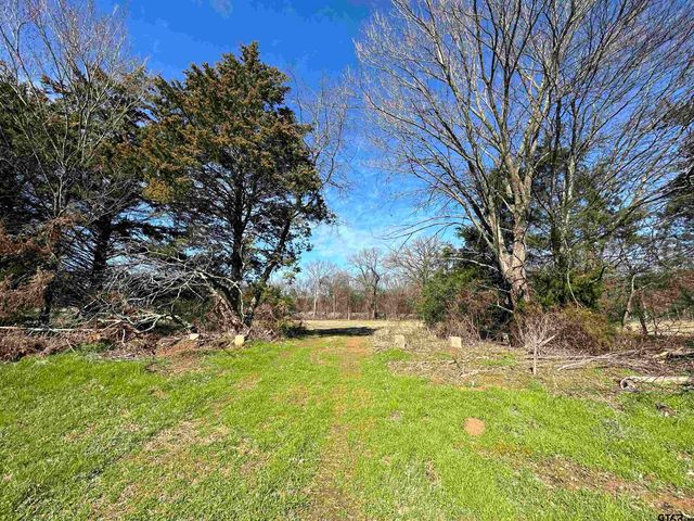 47AC County Road 2402, Winnsboro, TX 75494