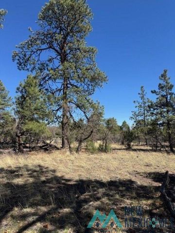 Doe Run, Los Ojos, NM 87551