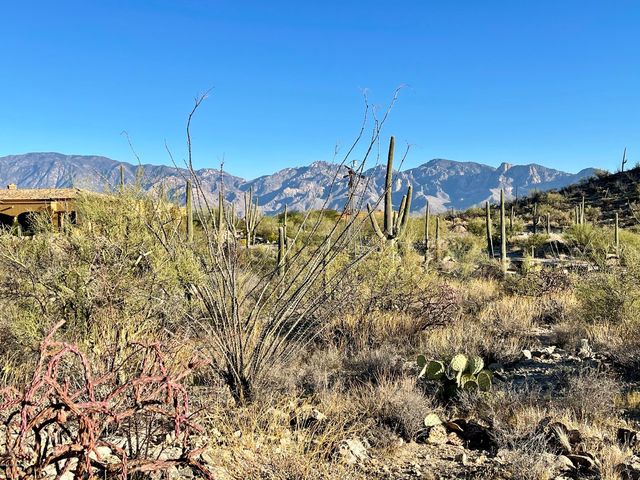 14554 N  Granite Peak Pl   #275, Tucson, AZ 85755