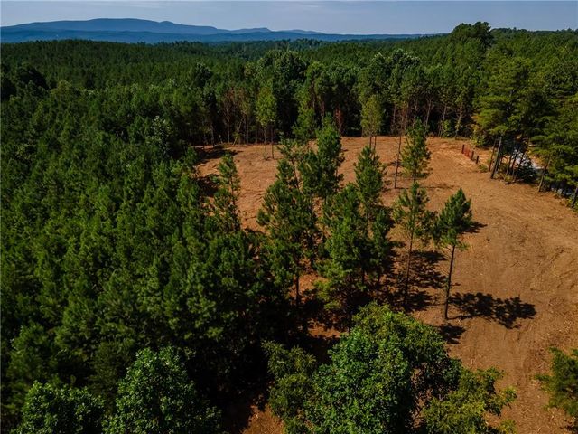 1 Young Loop #1, Fairmount, GA 30139
