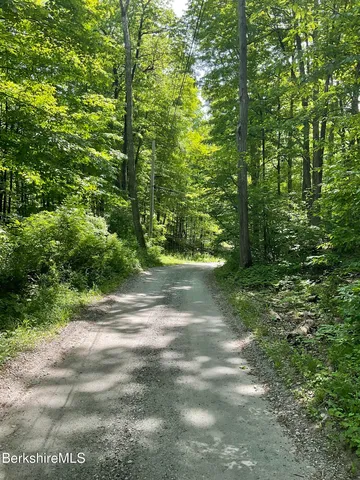 Whites Hill Rd, West Stockbridge, MA 01266
