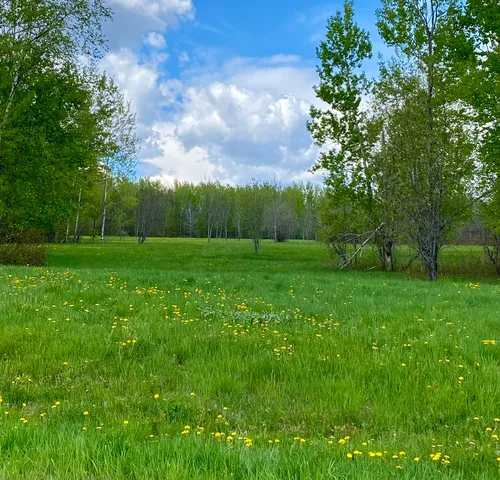 Lot 8 Clark Road, Patten, ME 04765
