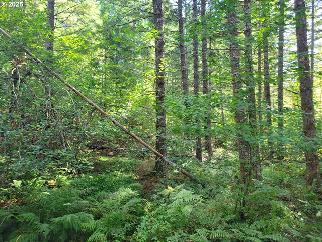 98610 Homes For Sale & 98610 Real Estate - 1,029 Homes | Trulia