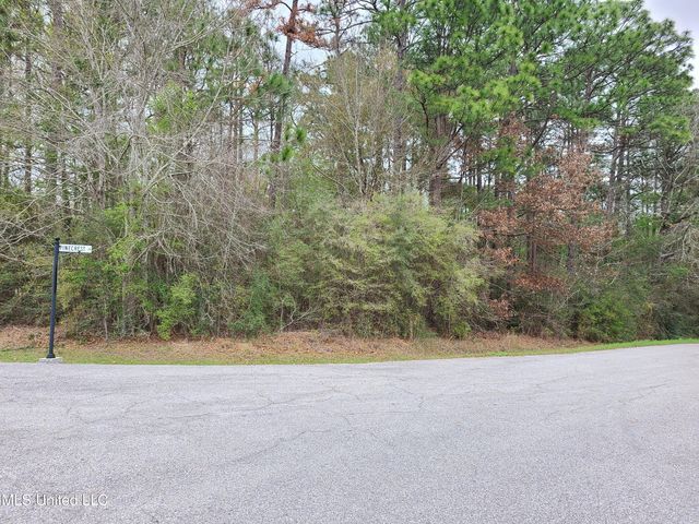 Pinecrest Dr, Carriere, MS 39426