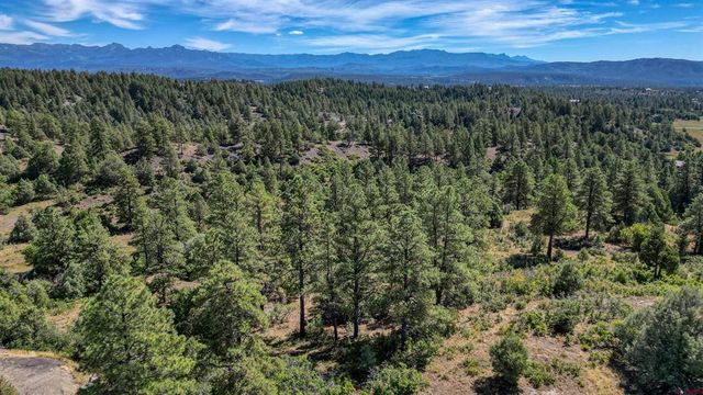 128 S  Feather Ct, Pagosa Springs, CO 81147