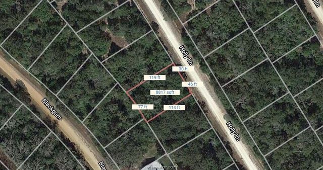 Lot 19 Holly, Normangee, TX 77871