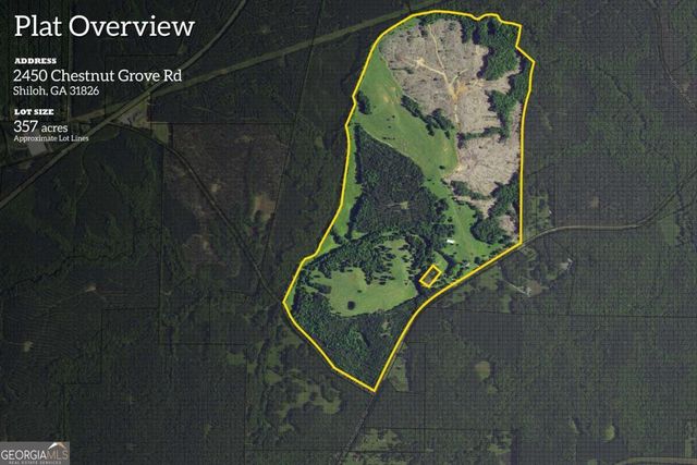2450 Chestnut Grove Rd #2, Shiloh, GA 31826