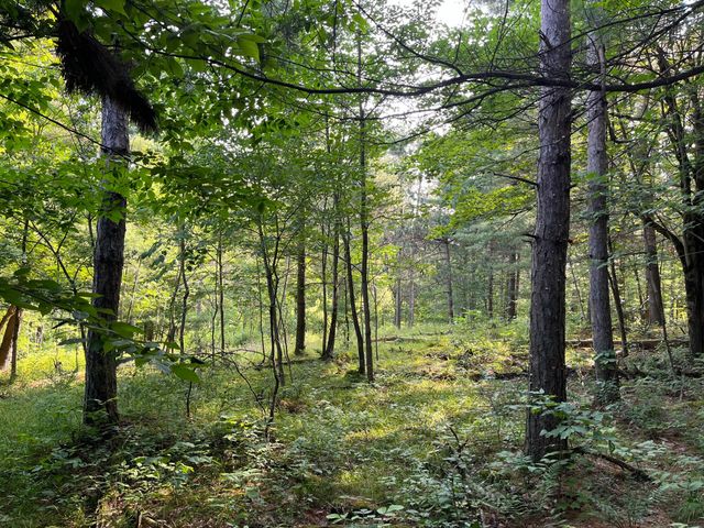 Blanchard Hill Rd   #4, Russell, NY 13684