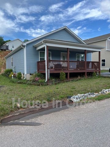 542 Quinn Hill Ln, Mars Hill, NC 28754