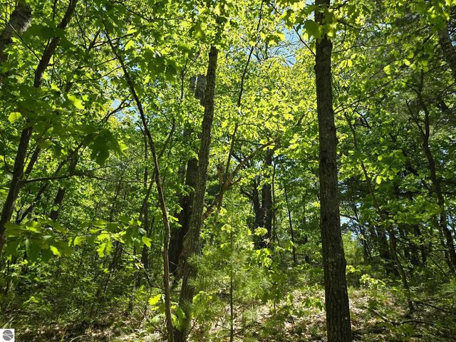 E  Long Lake Rd, Cadillac, MI 49601